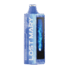 Blue Razz Ice LOST MARY MO20000 PRO