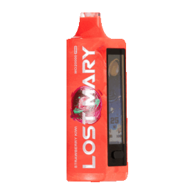 LOST MARY Strawberry Kiwi
